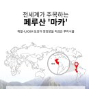다운푸드 이미지