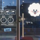 견미소 이미지
