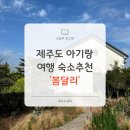 11545-10-05-16 | 제주 아기랑 숙소 추천, 봄달리 독채 감성숙소 솔직후기(with.10개월 아기)