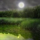 달빛강가 이미지