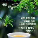 봄이 이미지