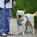 팅커벨하우스 이미지