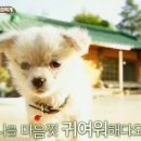 밍키 오마이뉴스