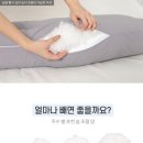 해피로PC | [임산부 필수템]해피테일즈 바디필로우 내돈내산 솔직후기