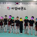 하임태권도장 이미지