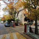 오정로252번길 이미지