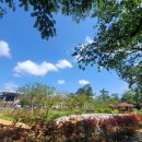 효자요양병원 이미지