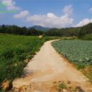 창촌초 운두분교장 네이버블로그