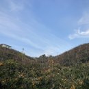 종갑농장 이미지