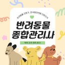반려동물관리사 | [한국애견연맹 반려동물종합관리사] 자격증 취득 후기(내돈내산, 독학, 자료 공유O)
