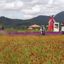 숨바로수면센터 이미지