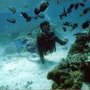 지상낙원 c 이미지