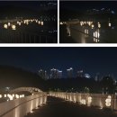4/9(화)광교 호수공원 야간 벚꽃 트레킹 및 41층 스카이라운지 커피숍에서 커피 한잔의 여유 이미지