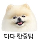 안덕면 화순리 1146-2 | 제주 2박 3일 반려동물동반 여행코스 | 유채꽃 바다 시장까지 실제 일정 정리