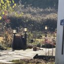 해뜨는봄봄 이미지