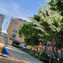 지치울경로당 이미지