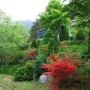 산머루 민박 이미지