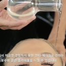 넘버원플라워