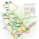 숲속의야영장 이미지