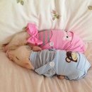 안하농장 이미지