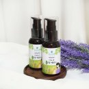 도그아로마 이미지