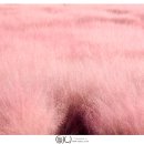 서광리-11 이미지