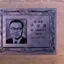 윤보선 카카오 검색결과