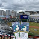 동희식당 | 부산 사직야구장 직관 후기 | 사직구장 중앙상단석 56블럭 10열 시야, 사직 먹거리, 누리굿즈