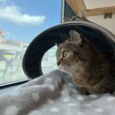 뿌리민박 이미지