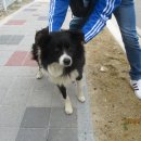 금곡경로당 이미지