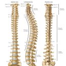 봄뜰부부한의원 이미지