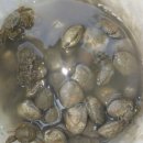 갯벌이야기펜션 이미지