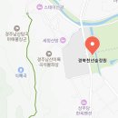 은파랑여행사