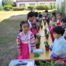 업성초등학교병설유치원 이미지