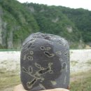 사랑새