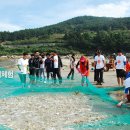 청산도느림보마을 이미지