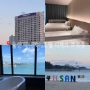 지오션 | ㅣ울산ㅣ일산지해수욕장 근처 타이베이호텔 아기랑 디럭스 트윈룸 후기