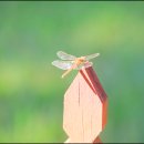 옥경목장 이미지