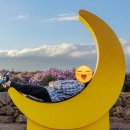 신례동로 | 제주 핑크뮬리 휴애리 핑크뮬리 명소 아스타국화 축제 10월 제주축제정보 - 실시간 10월 8일 방문후기