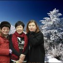 인천종합사회복지관 이미지