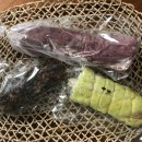 [인천 구월동 롯데백화점 팝업] 몰리하우스 내돈내산 솔직후기(부들이빵, 메로나, 돼지바빵)