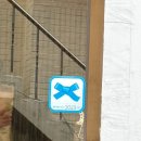 카페보헤이 이미지