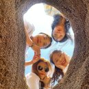 사계카페1