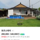 토르스테이 이미지