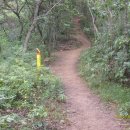 광산구-007 이미지