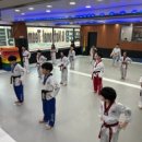 한국체대 국가대표 태권도장 이미지