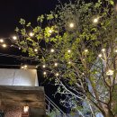 노타이틀 이미지