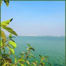 대한이화학 이미지