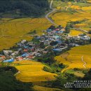 유실목장 이미지