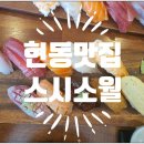 스시소월